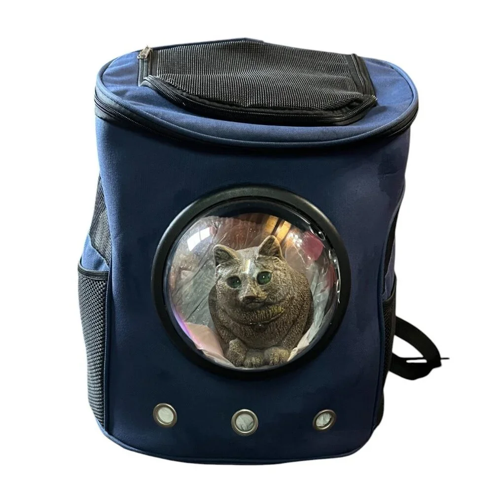 N/A navy cat